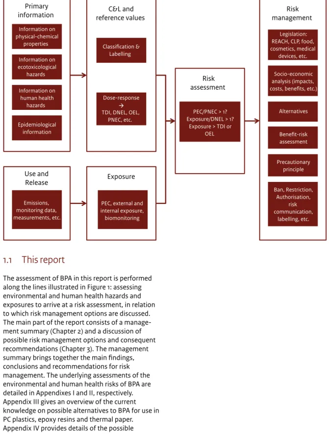 Figure 1 From primary substance characteristics to risk assessment and risk management – a schematic view of key elements in the  process of identifying the most appropriate risk management options