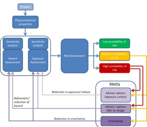 Figure 3: Base scheme for risk assessment in the NanoCosmetics tool. 