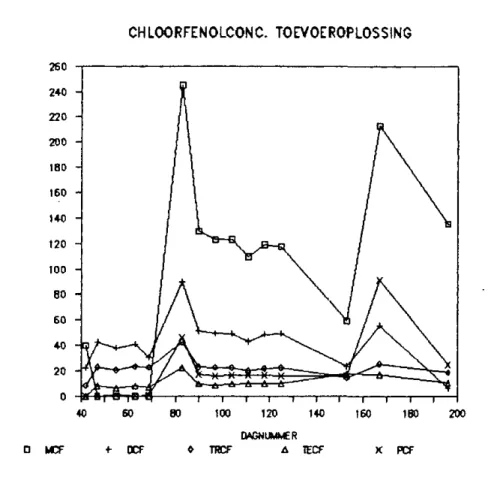 Figuur 3. Concentratieverloop van chloorfenolen in de toevoeroplossing van  de kolommen 