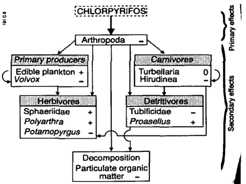 Figure 3: Direct and indirect effects of Chlorpyrifos in macrophyte-free freshwater  mesocosms (+= increase, 0 = no change