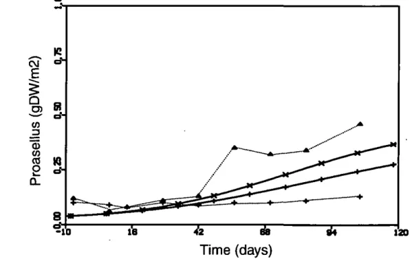 Figure 12: Simulated biomass dynamics of insensitive shredders for control (+) and CPF  treatment (x)