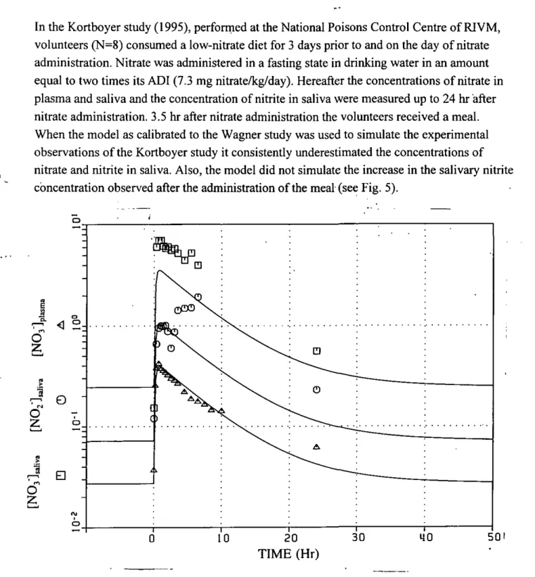 Fig. 5 The model validated on the experimental data of Kortboyer et al. (1995) Symbols: 