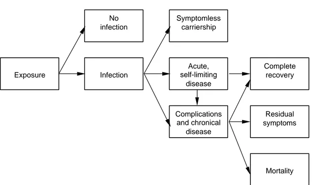 Fig. 2.1. Chain model of infectious gastro-intestinal disease.