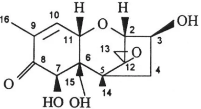 Figure 4. Structure of deoxynivalenol  10 .