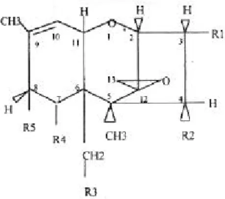 Figure 7. Structure of diacetoxyscirpenol (R1=OH, R2= OAc, R3=OAc, R4=H, R5=H)