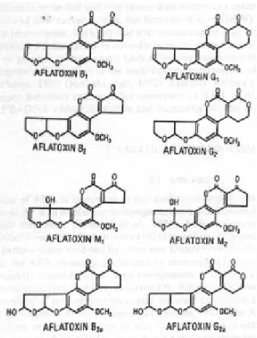 Figure 11. Structure of aflatoxins B 1 , B 2 , G 1 , G 2 , M 1 , M 2 , B 2a  and G 2a  125 .