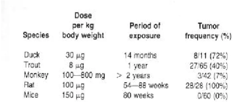 Table 4. Carcinogenicity of aflatoxin B1, depicting dosage and period of oral exposure  127