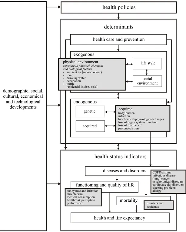 Figure 3.2 The Physical Environment as a determinant of Health Status.