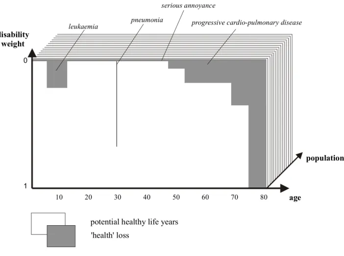 Figure 3.4 Diagram of the concept of Disability Adjusted Life Years (Reproduced from Hollander et al