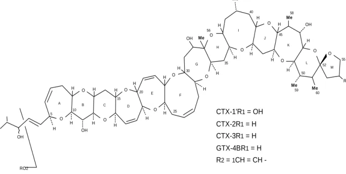 Figure 1. Structures of the major ciguatoxins (CTX) and gambier toxin-4b (GTX-4B)  (from  Lewis  HW DO1991)
