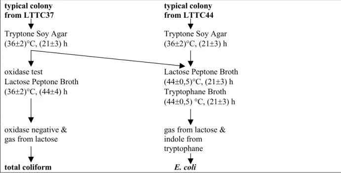 Figure 2 Confirmation procedure of typical colonies from Lactose TTC agar with Tergitol 7 incubated at 37 °C (LTTC37) or at 44 °C (LTTC44).