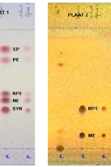 Figure 5  Representative thin-layer chromatograms of sample and reference solutions in the identification tests