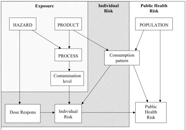 Figure 2-1 A risk assessment scheme. The boxes with capitals hold the items to be defined before setting up the risk assessment