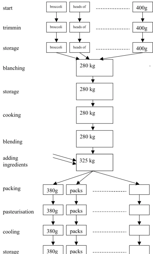 Figure 3-1 A schematic representation of the broccoli puree production process.