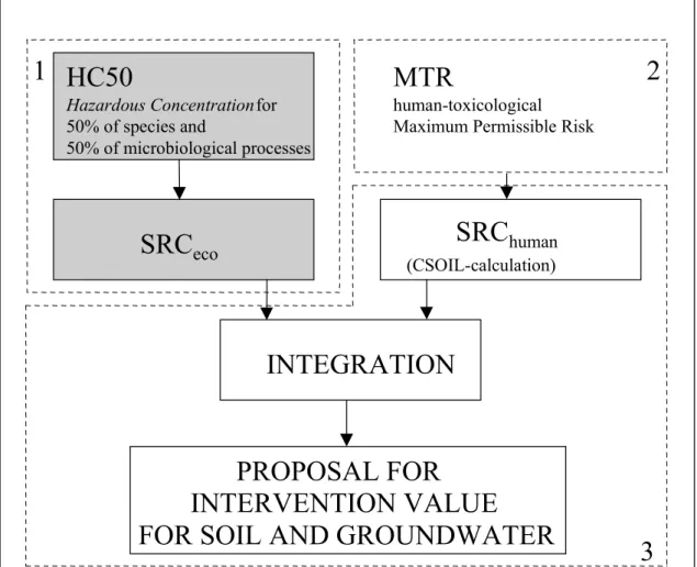 Figure 1.1: Outline of the Intervention Value for soil, sediment and groundwater. 1 is the SRC eco  (this report), 2 is the MTR human  (Baars et al., 2001) and 3 is SRC human  and the integration of these two, the proposal for the Intervention Value for so