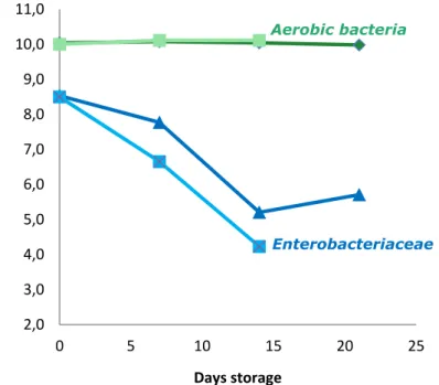 Figure 2. The effect of temperature and storage time on the number of aerobic  bacteria and Enterobacteriaceae in chicken faeces (dark colour = 5 °C, light  colour = 10 °C)