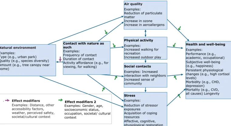 Figure 2.1: Conceptual framework for the relation between nature and health  (Hartig et al., 2014)