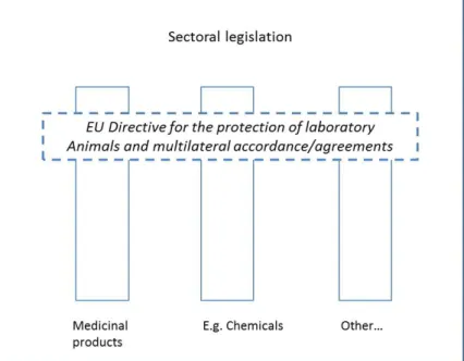 Figure 2. Relationship between horizontal and vertical legislation. Source: 
