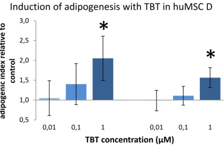 Figure 3-1 - Illustration of stimulated adipogenic differentiation in a huMSC  line. Shown is cell line D (see also Table 3-1) in a replicate experiment (left  and right panels)