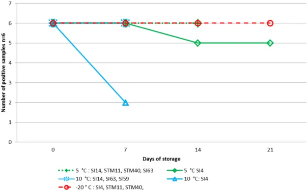 Figure 1. Stability test of minced chicken meat samples artificially contaminated with  Salmonella Typhimurium (STM) or Salmonella Infantis (SI) 