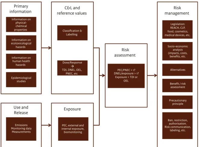 Figure 3  From primary substance characteristics to risk assessment and risk management, a schematic view  of key elements that are involved in the process of identifying the most appropriate risk management  options