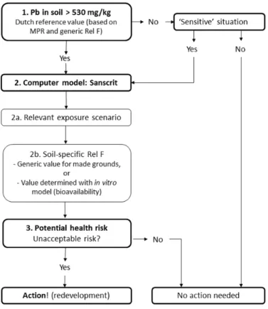Figure 1  Current practice of risk assessment of lead 