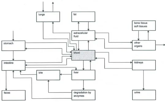 Figure 1. Schematic representation of the substance flow-pathways around  different organs and tissues involved in the toxicokinetics of a substance,  covering absorption, distribution, metabolism and excretion