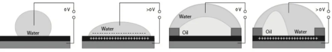 Figure 3.2 Electrowetting principles. 