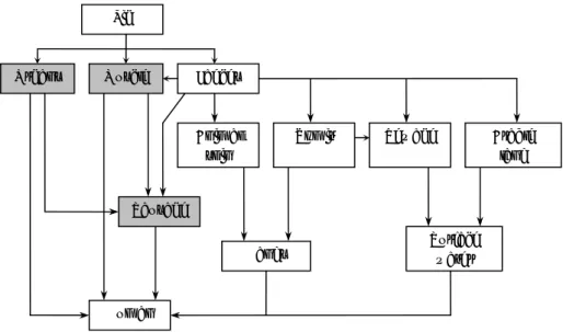 Figure 2 Conceptual exposure pathway with the most predominant routes for  HEV contaminated pork meat consumption