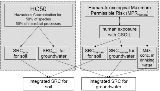 Figure 4.1: Diagram of the derivation of risk limits (integrated SRC) for soil and  groundwater (Lijzen et al