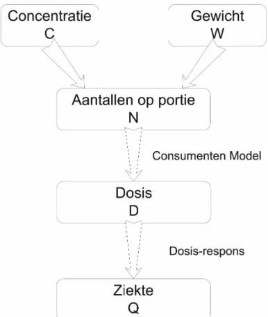 Figuur 5. Schematisch overzicht van het Nauta-Christensen model. 