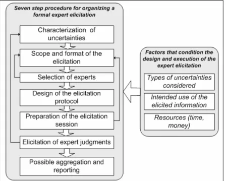 Figure 1: Seven step expert elicitation procedure (Knol et al., 2010). 