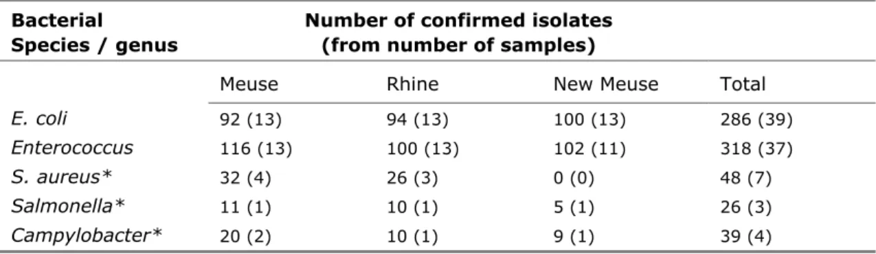 Table 4 Numbers of bacterial isolates per species/genus obtained from the Meuse, Rhine and  New Meuse 