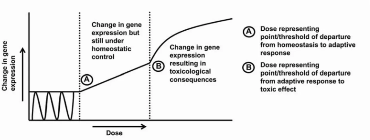 Figure 4. Steps in progression of changes in gene expression towards an adverse  response  