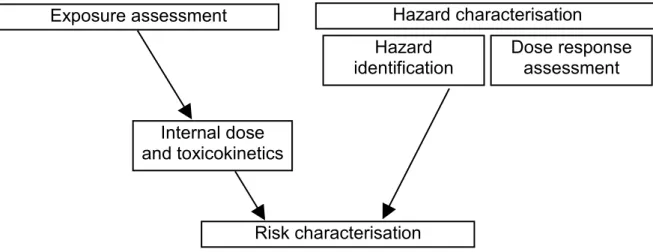 Figure 2.1 Base elements of general risk assessment. 