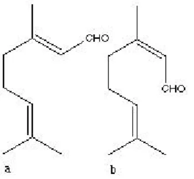 Figure 4.1. Structure of citral a (geranial) and b (neral) (from www.food-info.net). 