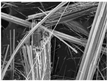 Figuur  1-1:  Asbestvezels  van  het  type  amosiet,  1.500  maal vergroot (SEM-opname)