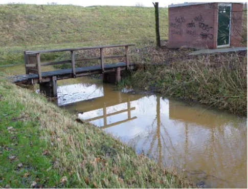 Figure 5 Turbid water caused by high run-off after heavy rain. More common in the future? 