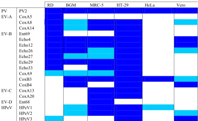 Tabel 10 Gevoeligheid cellijnen voor detectie van enterovirussen        RD  BGM  MRC-5  HT-29  HeLa  Vero  PV PV2                    EV-A CoxA5                     CoxA8                    CoxA14                   EV-B Ent69                     Echo4      