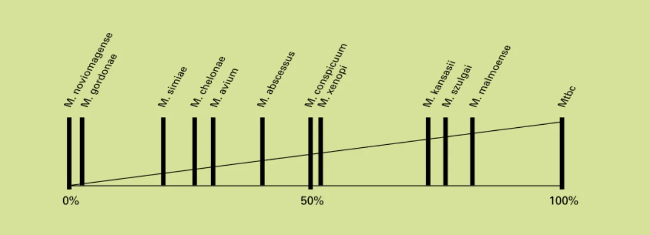 Figuur 5: Percentage patiënten dat voldoet aan de criteria van de Amerikaanse longartsenvereniging, per species