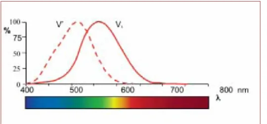 Figuur 1. Spectrale ooggevoeligheidskrommen voor het kegelsysteem (fotopisch zicht, getrokken lijn) en voor  het staafjessysteem (scotopisch zicht, stippellijn) 
