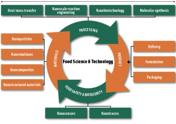 Figure 5.1 shows in outline where nanotechnology is utilised in food production. 