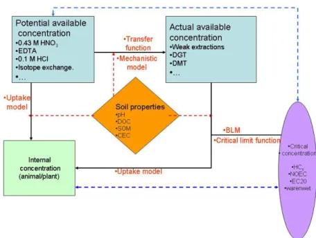 Figure 3.2: Schematic overview of relations between different methods to determine bioavailability of metals  and how these are related to each other