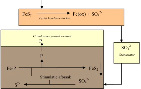 Figuur 5.1: Schematische weergave van de sulfaatproblematiek. De uitspoeling van nitraat zorgt  voor een hogere concentratie sulfaat in het grondwater