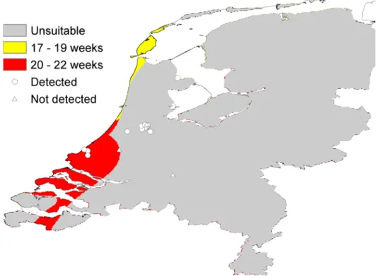 Figuur 6.  Voorspelde duur (in weken) van actieve periode voor volwassen Ae. albopictus voor verschillende gebieden in Nederland uitgaande van 
