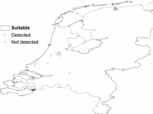 Figuur 1.  Scenario A. Gebieden in Nederland geschikt voor vestiging van Ae. albopictus uitgaande van een succesvolle overwintering van diapauze eitjes bij  temperaturen van 0 °C en hoger en bij hoeveelheden neerslag van 500 mm en hoger