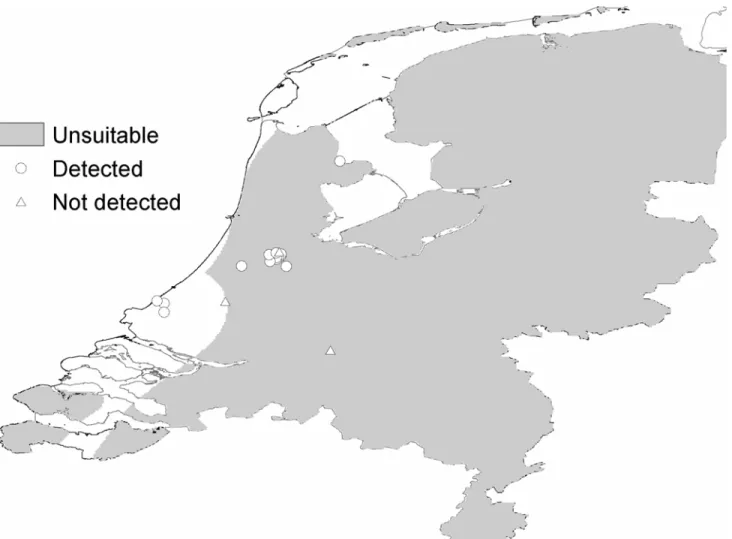 Figuur 3.  Scenario C. Gebieden in Nederland geschikt voor vestiging van Ae. albopictus uitgaande van een succesvolle overwintering van diapauze eitjes bij  temperaturen van 2 °C en hoger en bij hoeveelheden neerslag van 700 mm en hoger