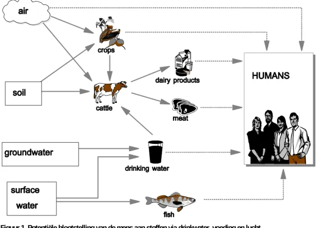 Figuur 1. Potentiële blootstelling van de mens aan stoffen via drinkwater, voeding en lucht