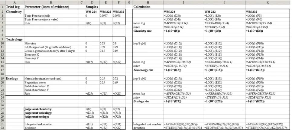 Figuur B4.1 In de figuur is een deel van de spreadsheet afgebeeld, met daarin de formules voor de berekening van het ecologisch risico