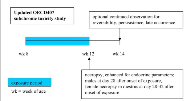 Figure 5 . Schematic representation of the updated OECD407 subchronic toxicity test protocol